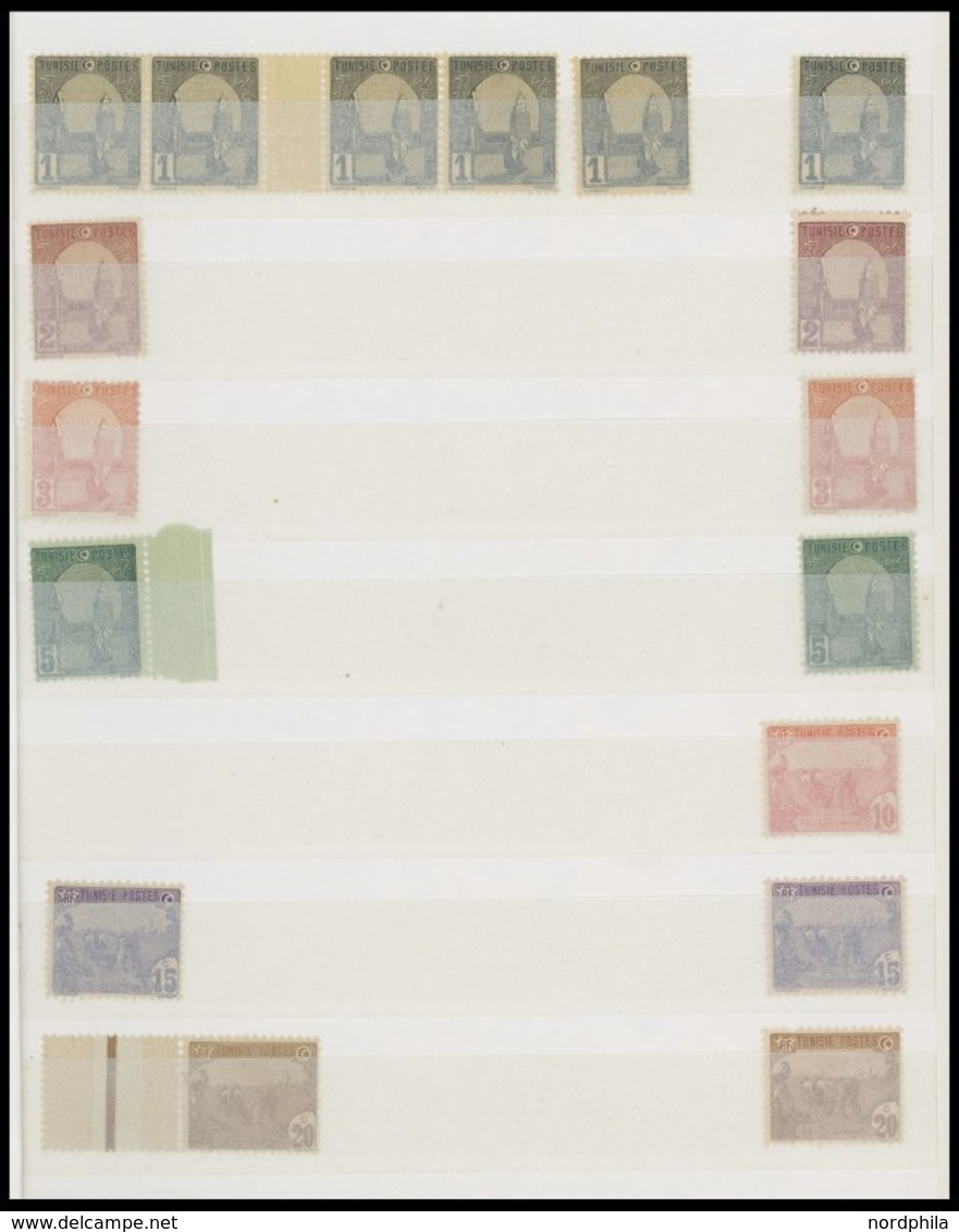 TUNESIEN **,* , 1906-45, Interessante Partie Mit Einigen Mittleren Ausgaben Und Vielen Blockstücken, Meist Postfrisch, F - Unused Stamps