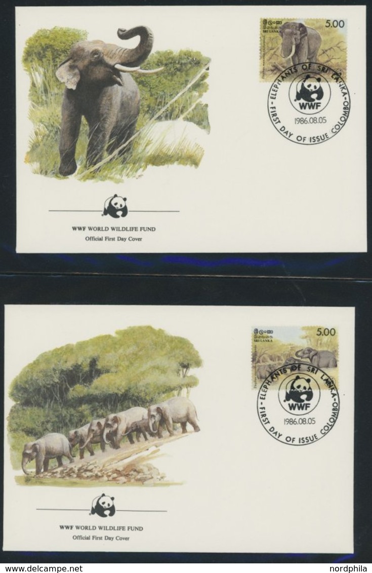 SONSTIGE MOTIVE **,Brief,BrfStk , World Wildlife Fund Aus 1983-89 Mit über 80 Kapiteln In 7 Spezialalben, Jeweils Postfr - Filatelia E Historia De Correos