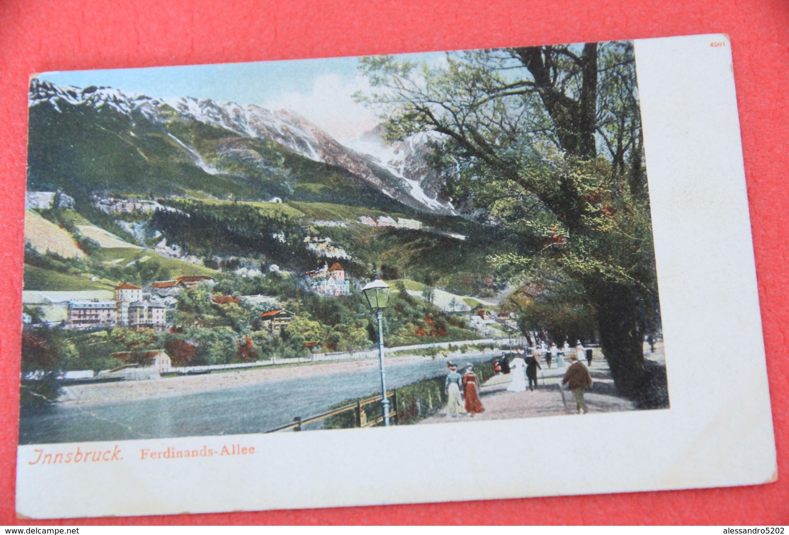 Tirol Innsbruck Ferdinands Allee First Years 1900 NV - Autres & Non Classés