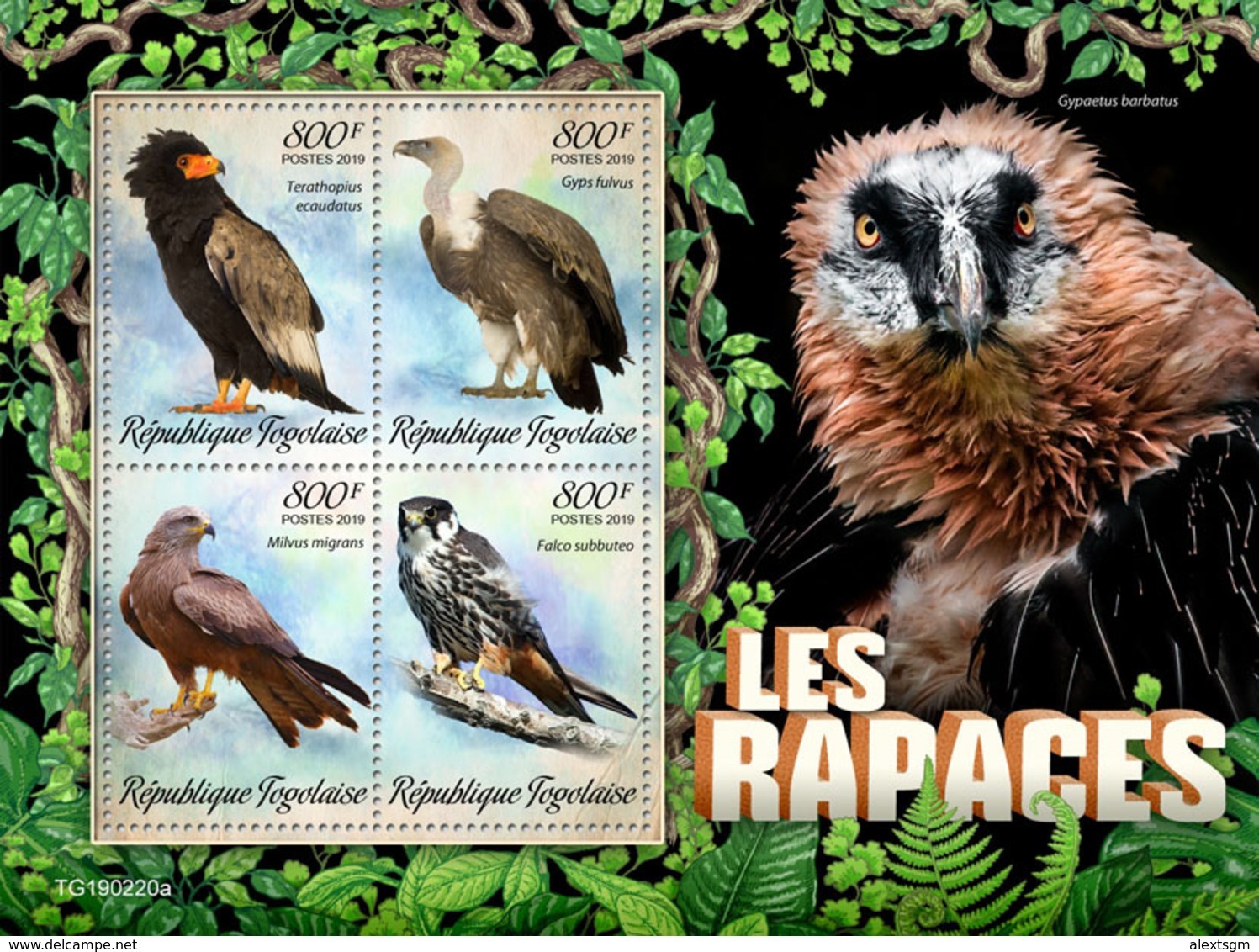 TOGO 2019 - Birds Of Prey. Official Issue [TG190220a] - Arends & Roofvogels
