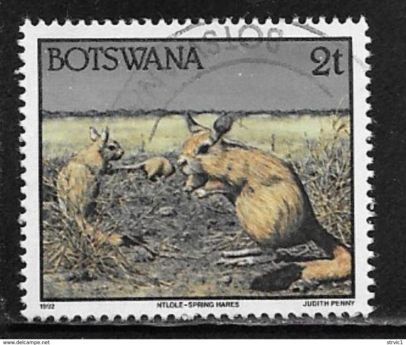 Botswana Scott # 519 Used Spring Hares, 1992 - Botswana (1966-...)