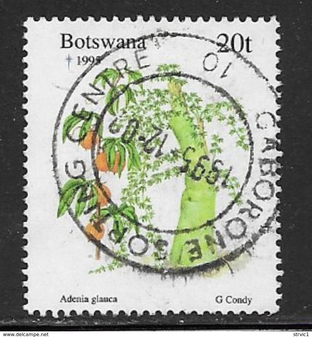 Botswana Scott # 587 Used Christmas, Plant, 1995 - Botswana (1966-...)
