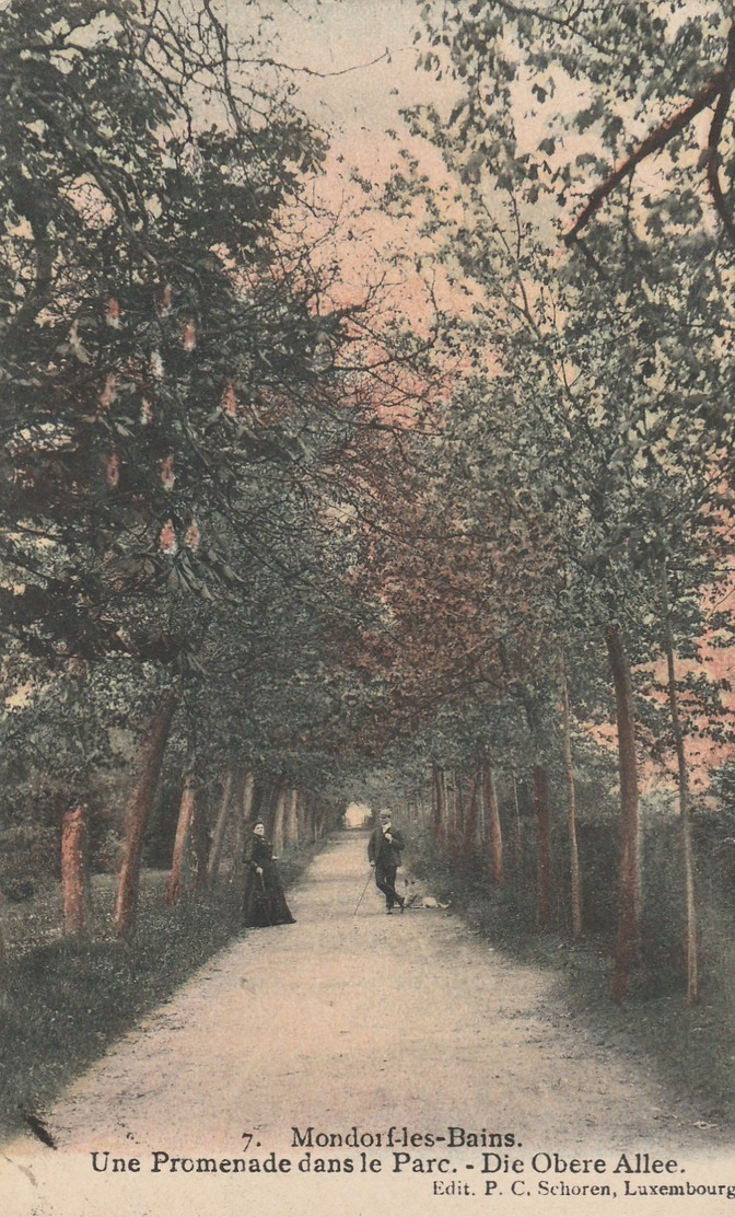 Mondorf Les Bains , Une Promenade Dans Le Parc , Die Obere Allee,( P.C. Schoren ,n° 7  ) - Bad Mondorf