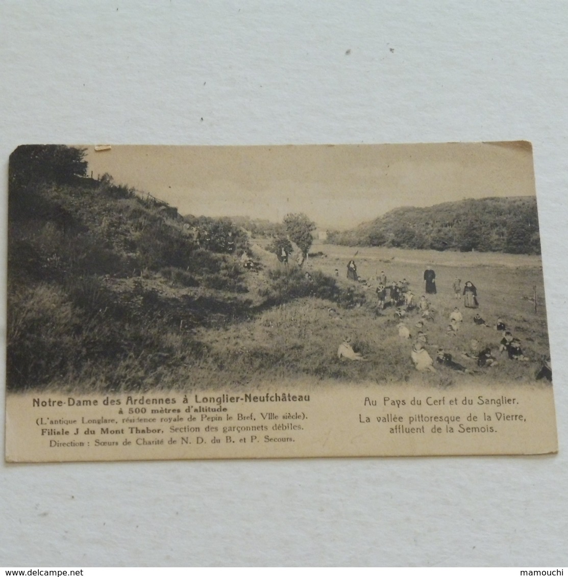 LONGLIER-NEUFCHATEAU - Notre Dame Des Ardennes, Au Pays Du Cerf Et Du Sanglier - Non Envoyée - Neufchâteau