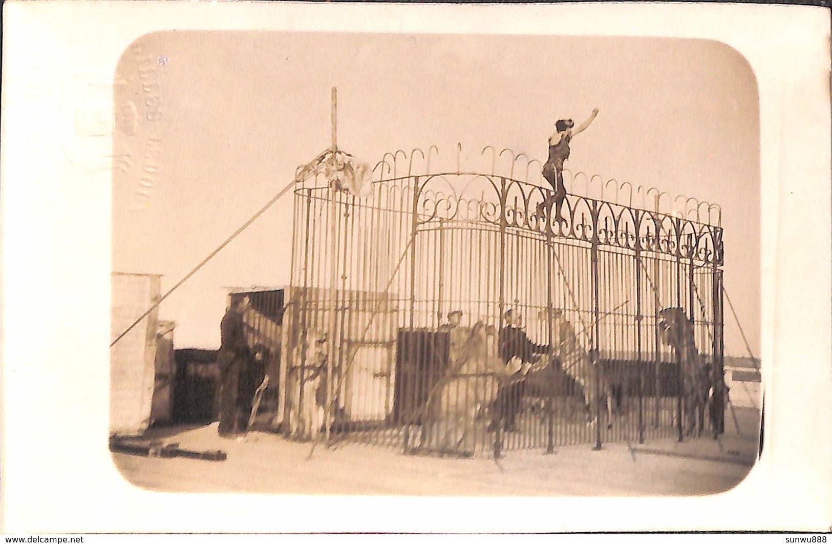 Namur Citadelle - Lot 3 Cartes Photo Cirque Cage Aux Fauves, Lions + Danseuses (top Animation Et Top RARE) - Namur