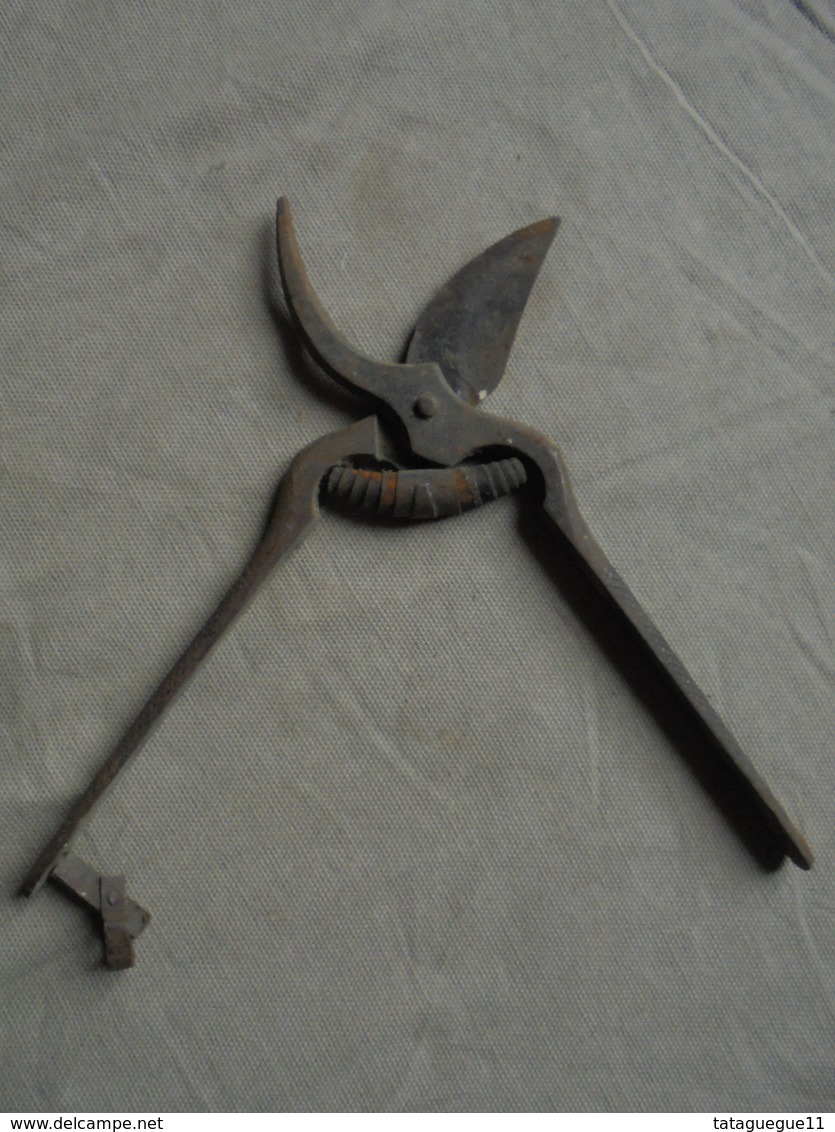 Ancien - Sécateur Pour La Vigne Viticulture - Outils Anciens