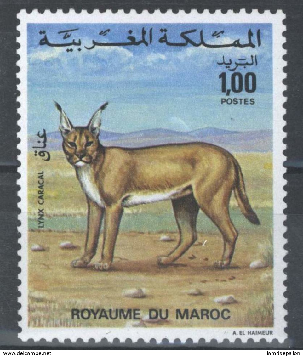 MOROCCO PROTECTION DE LA NATURE FAUNE LYNX CARACAL ANIMALS - Morocco (1956-...)