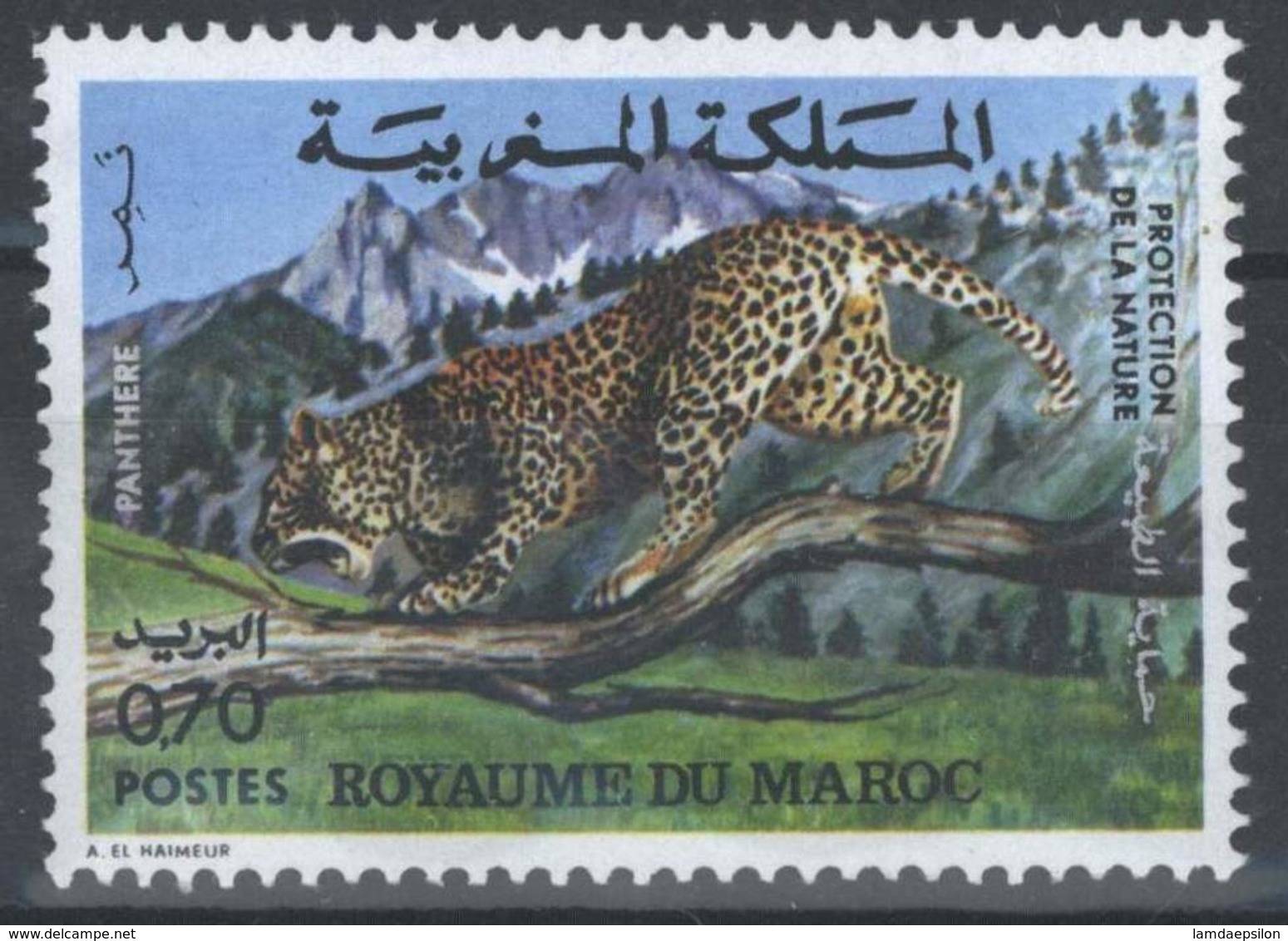 MOROCCO PROTECTION DE LA NATURE FAUNE PANTHERE ANIMALS - Marokko (1956-...)