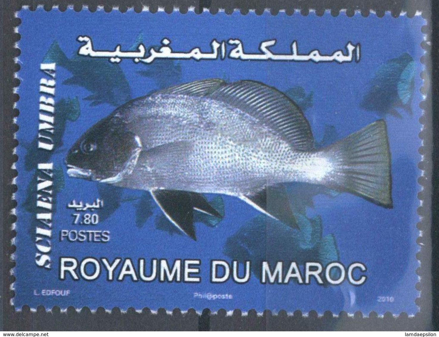 MOROCCO FAUNE MARITIME POISSON FISH SEA 2010 - Morocco (1956-...)