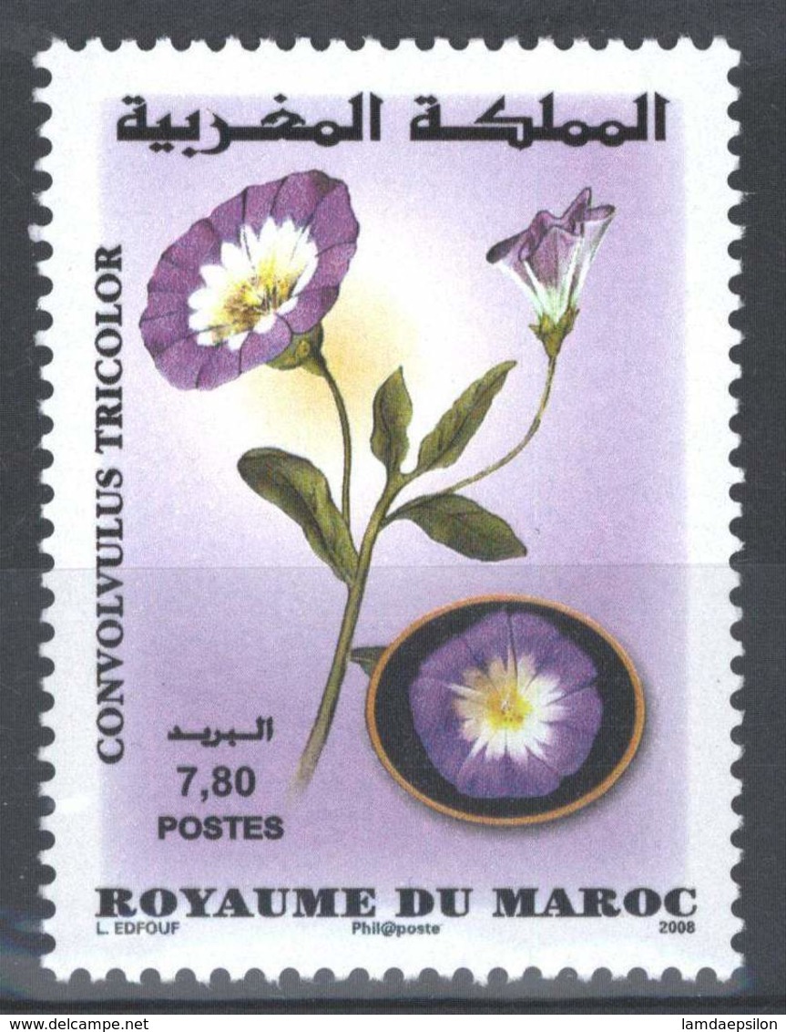 MOROCCO FLORE FLEURS FLOWERS JARDINAGE 2008 - Marokko (1956-...)