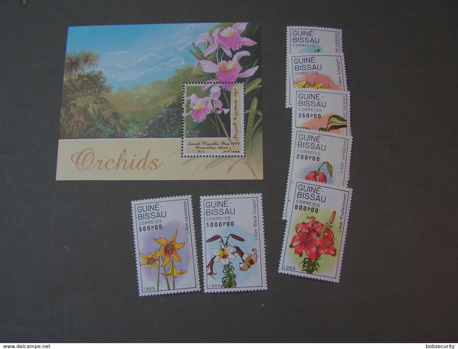 Guinee Lot  ** MNH - Orchideen