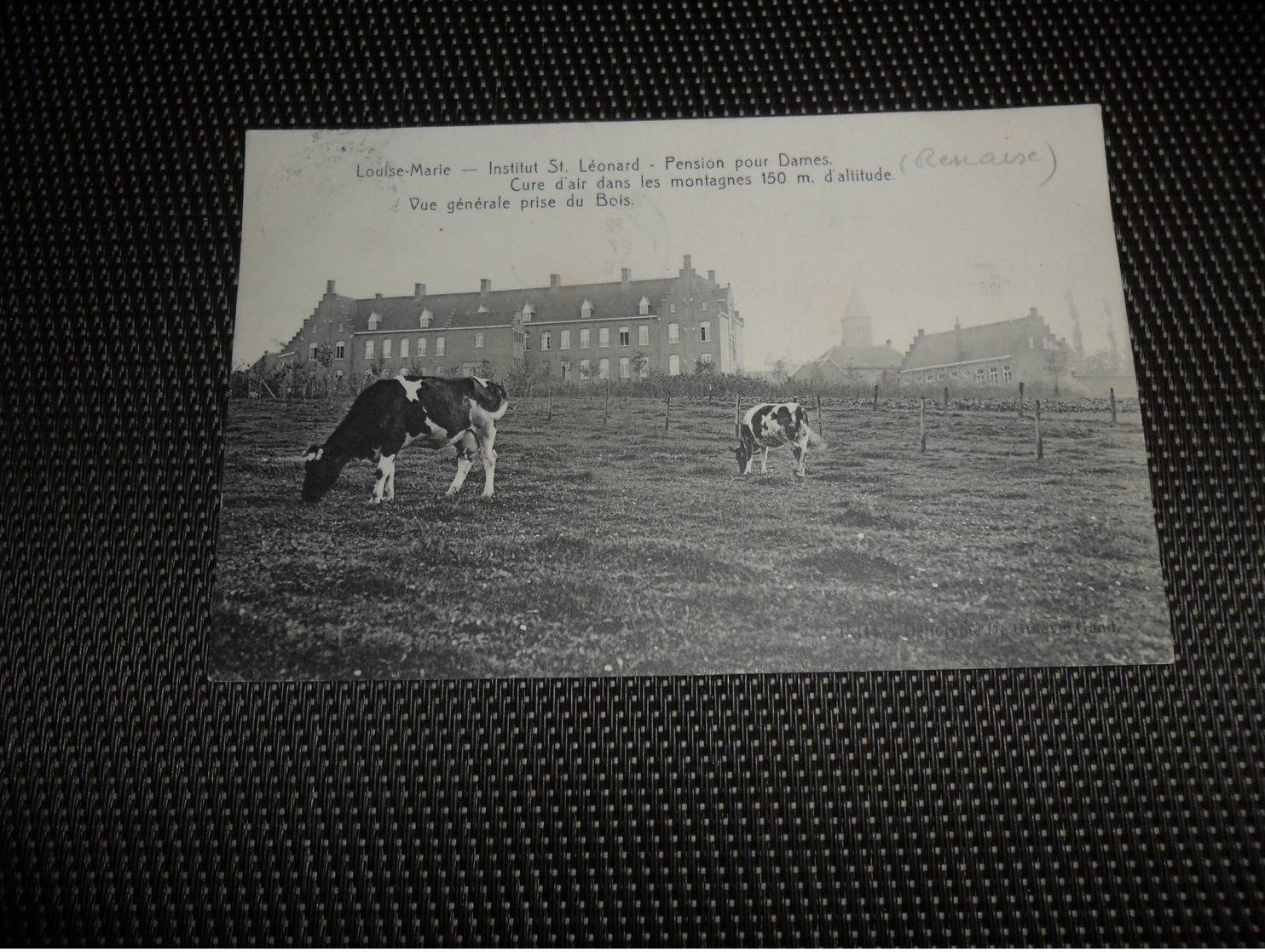 Beau lot de 20 cartes postales de Belgique       Mooi lot van 20 postkaarten van België   - 20 scans