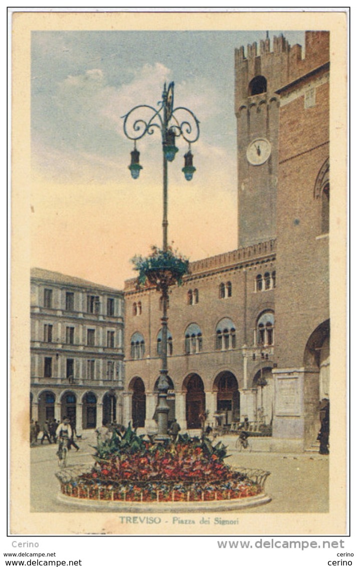 TREVISO:  PIAZZA  DEI  SIGNORI  -  FP - Treviso