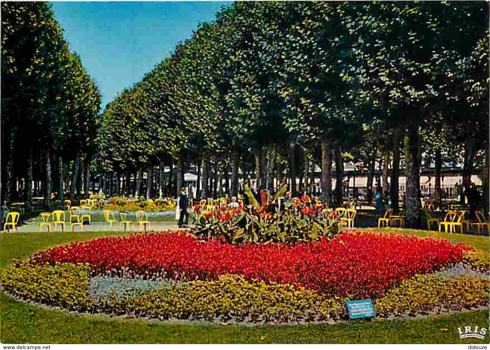 03 - Vichy - Parc Du Casino - Massifs Floraux - Fleurs - Carte Neuve - Voir Scans Recto-Verso - Vichy