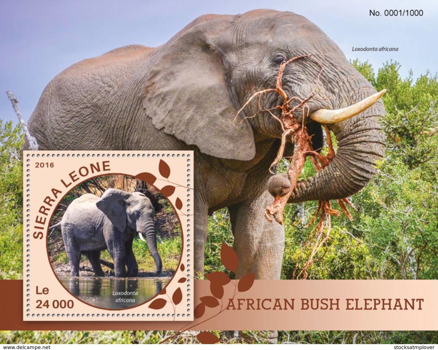 Sierra Leone   2016  Fauna  African Bush Elephant - Sierra Leone (1961-...)