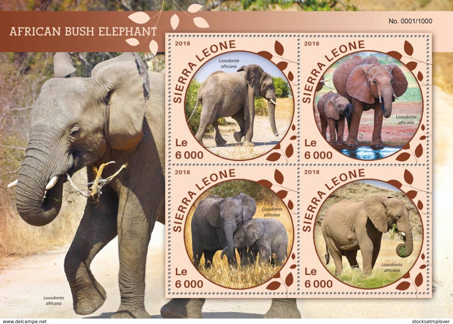 Sierra Leone   2016  Fauna  African Bush Elephant - Sierra Leone (1961-...)