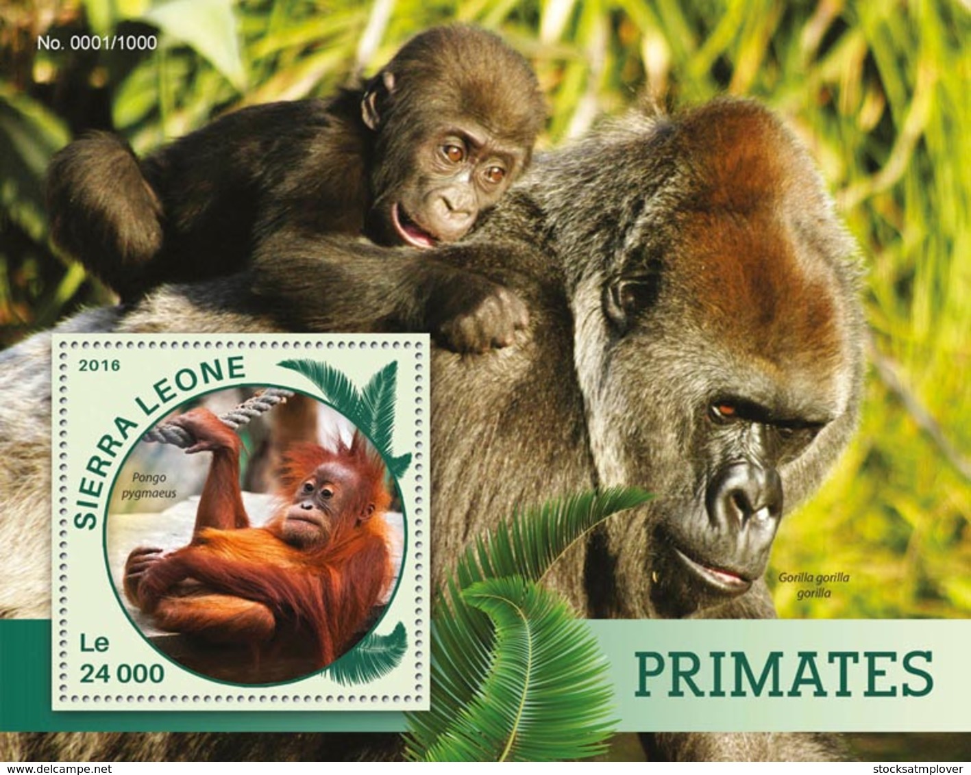 Sierra Leone   2016  Fauna  Primates  , Gorilla ,orangutan - Sierra Leone (1961-...)