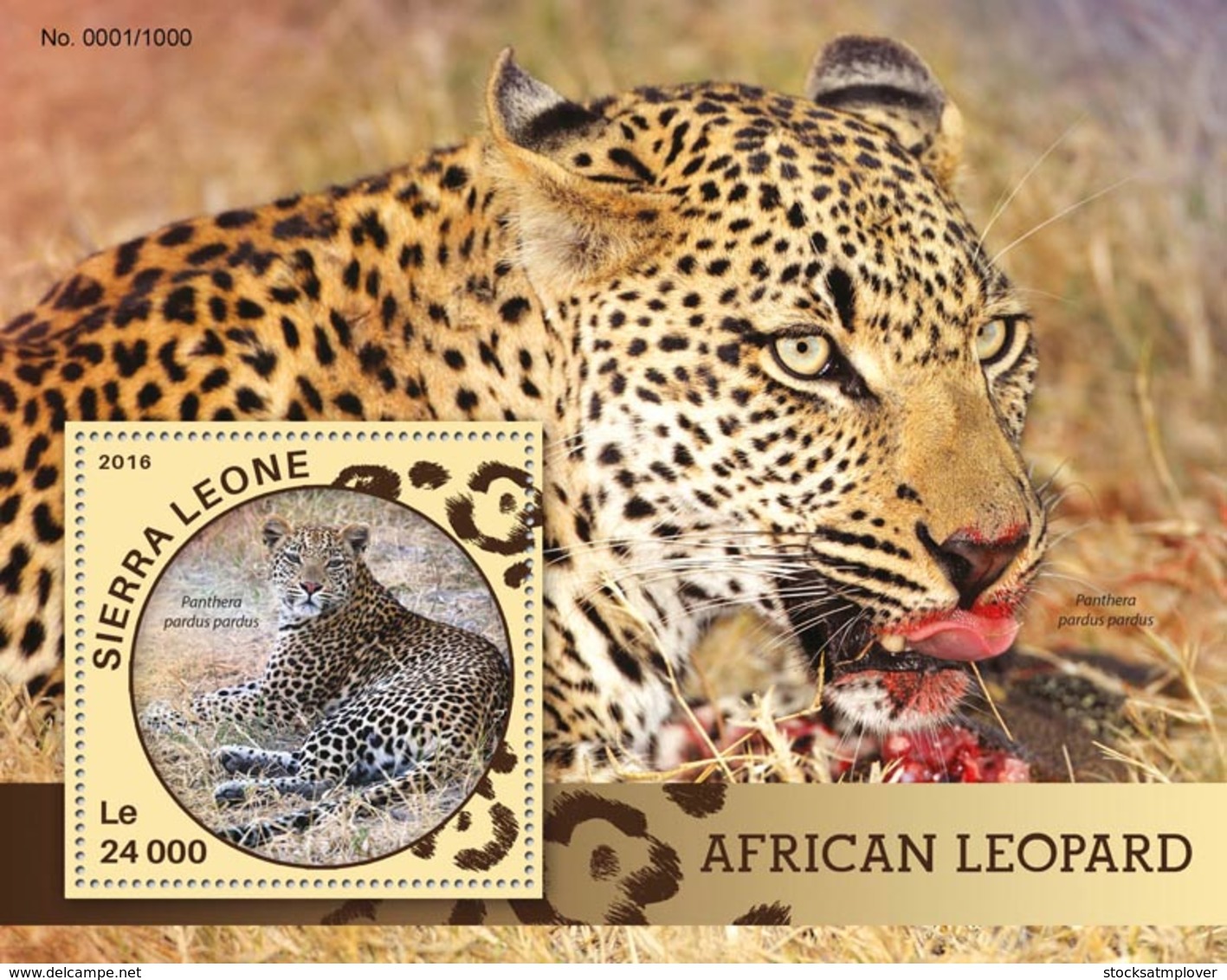 Sierra Leone   2016  Fauna  African Leopard - Sierra Leone (1961-...)