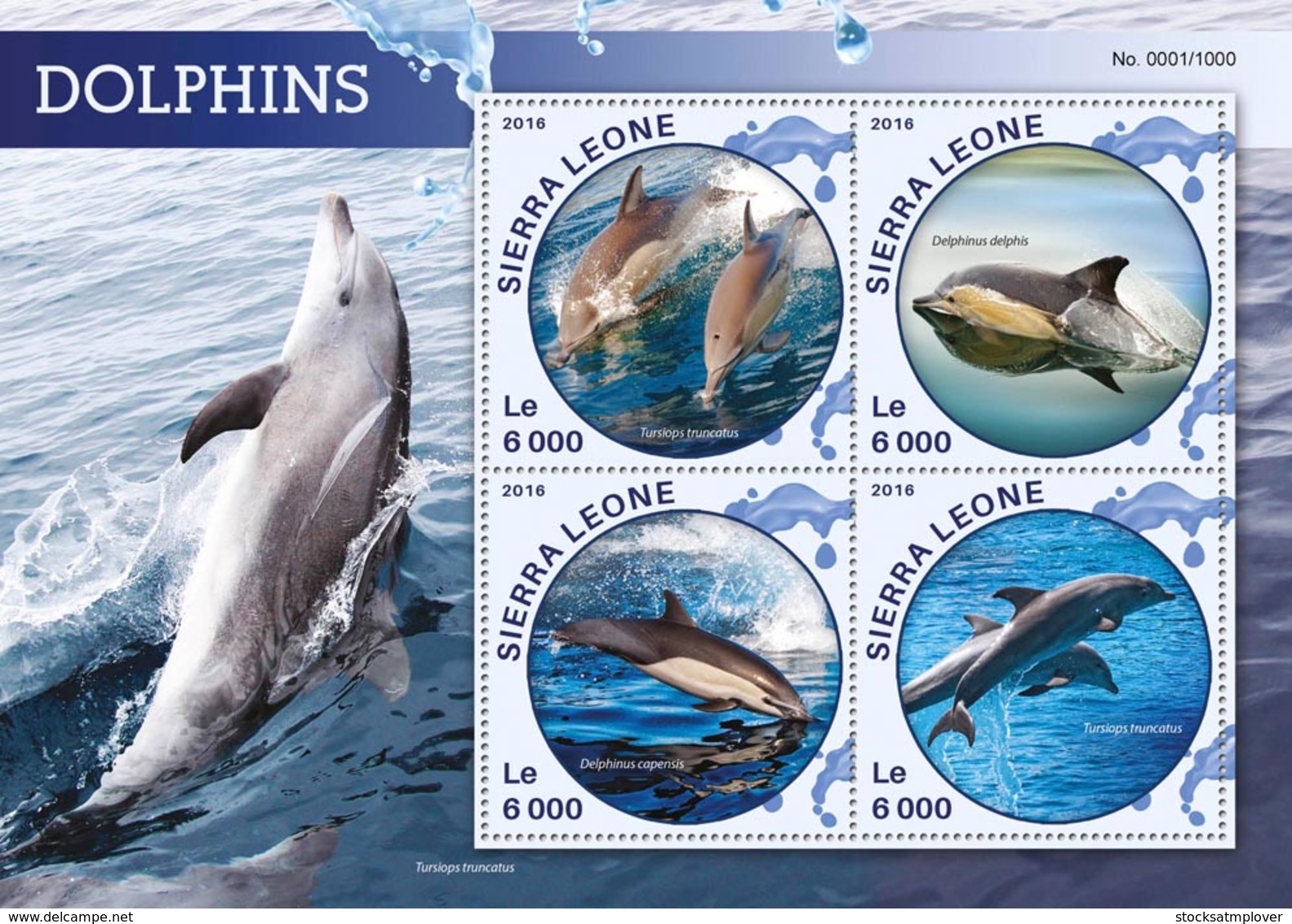 Sierra Leone   2016  Fauna  Dolphins - Sierra Leone (1961-...)