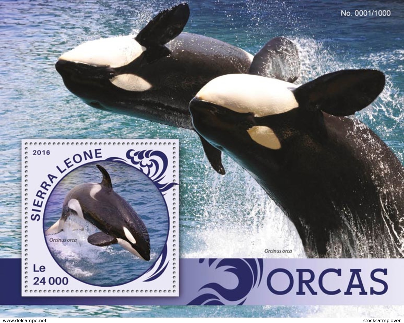 Sierra Leone   2016  Fauna  Orcas Whales - Sierra Leone (1961-...)