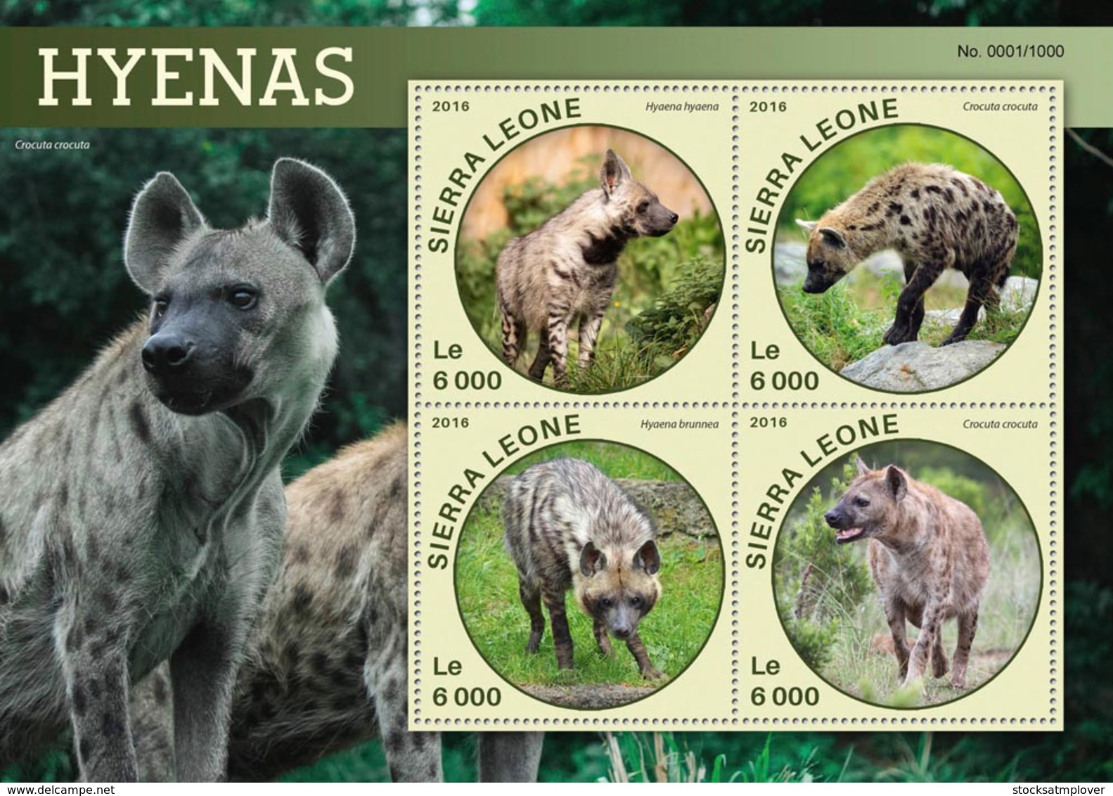 Sierra Leone   2016  Fauna   Hyenas - Sierra Leone (1961-...)