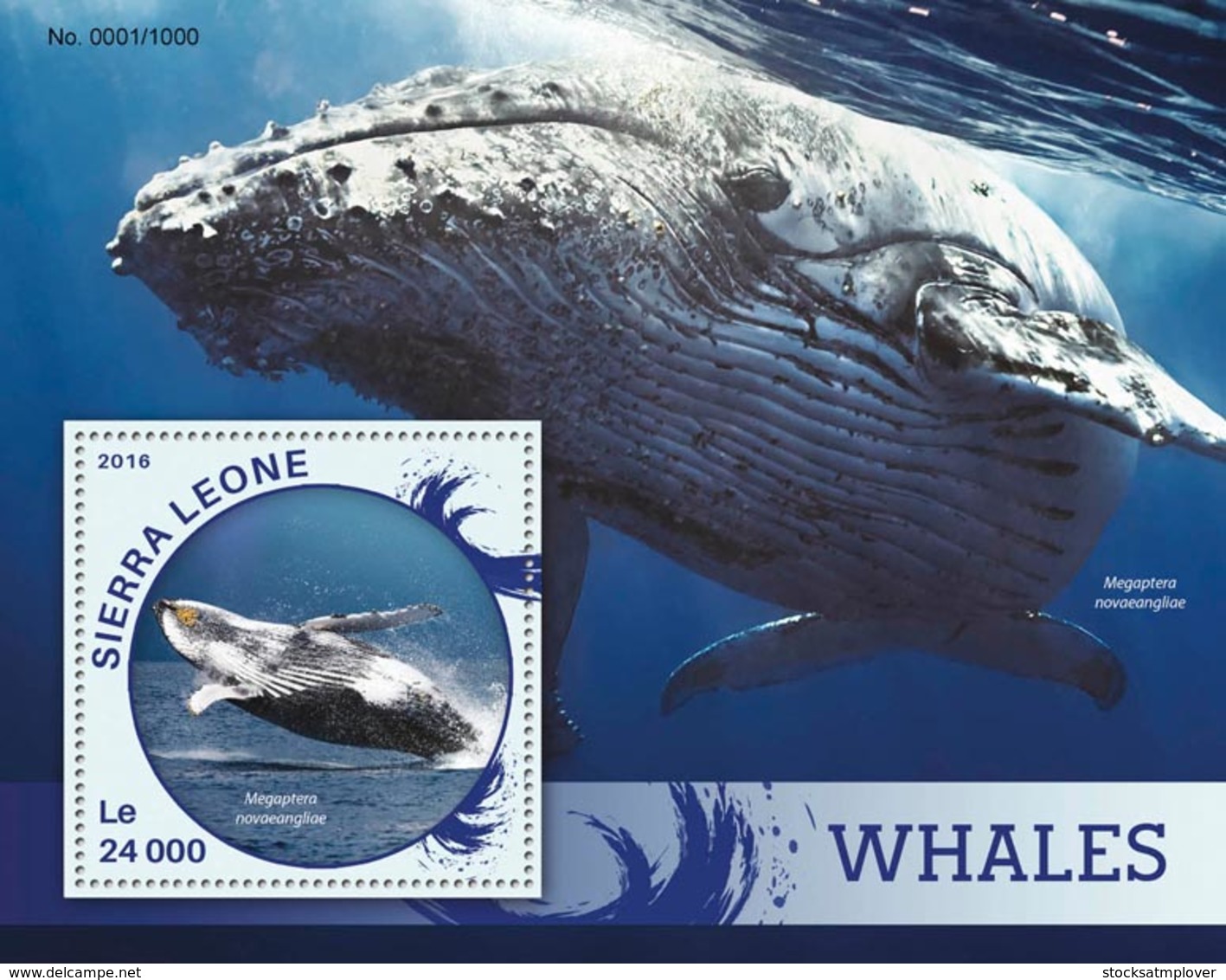 Sierra Leone   2016  Fauna  Whales - Sierra Leone (1961-...)