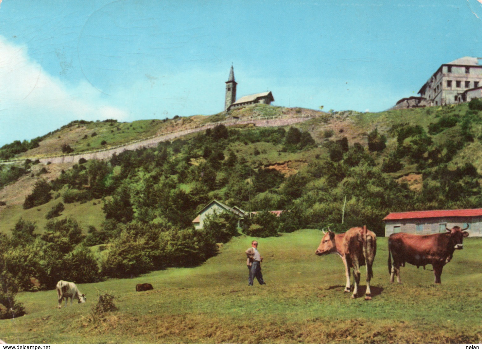 PASSO DELLA CISA-PANORAMA-VIAGGIATA  1960-  F.G - Massa