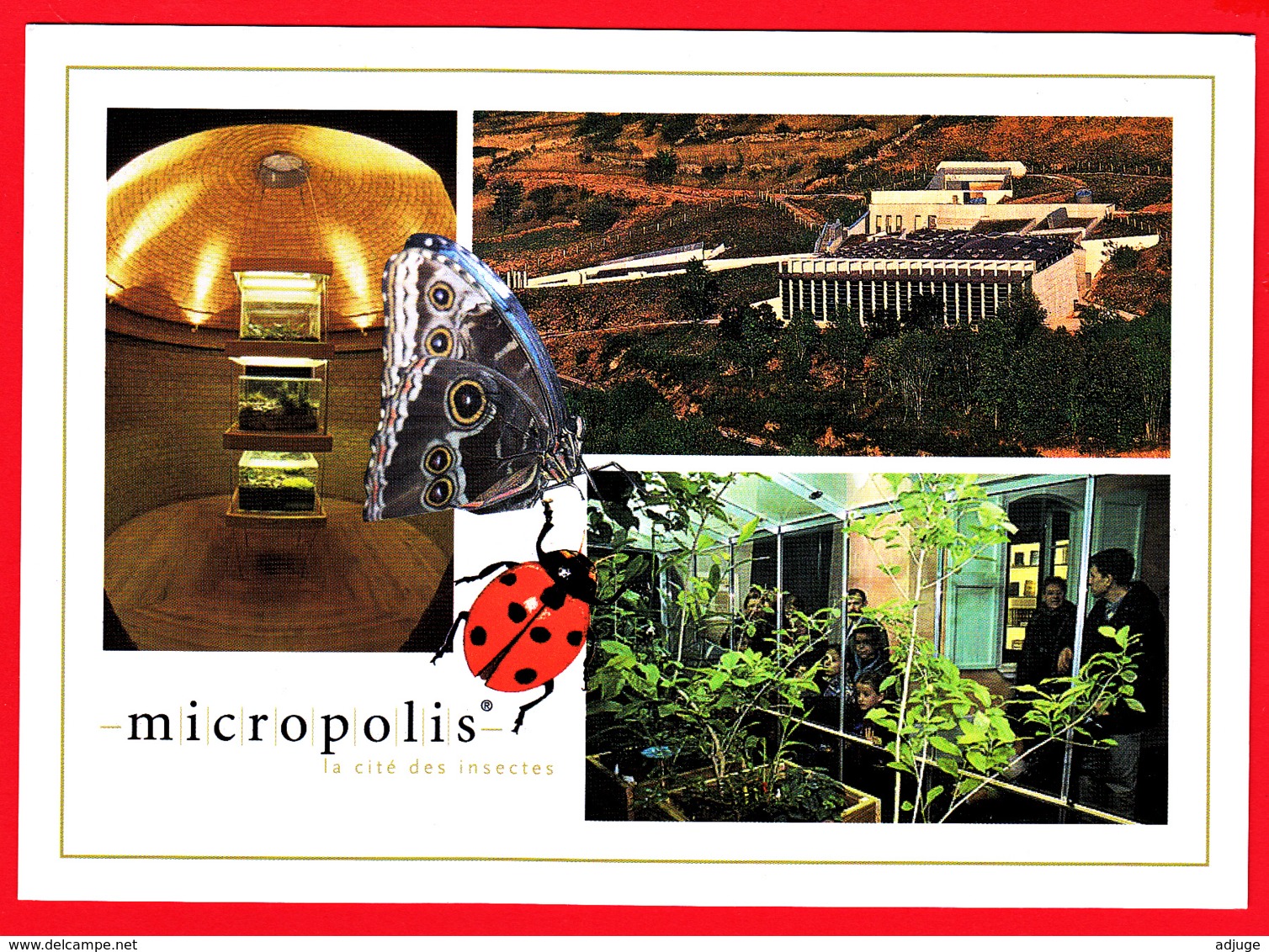 CP-12-SAINT-LÉONS - MICROPOLIS - Multivues-Vivarium - Serre Aux PAPILLONS *SUP  * 2 SCANS - Other & Unclassified