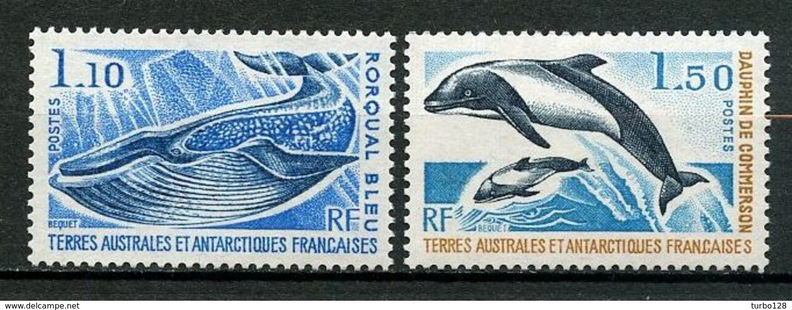 TAAF 1977 N° 64/65 Neufs ** MNH Superbes C 15,60 € Faune Marine Mammifères Rorqual Cétacé Dauphins Animaux - Neufs