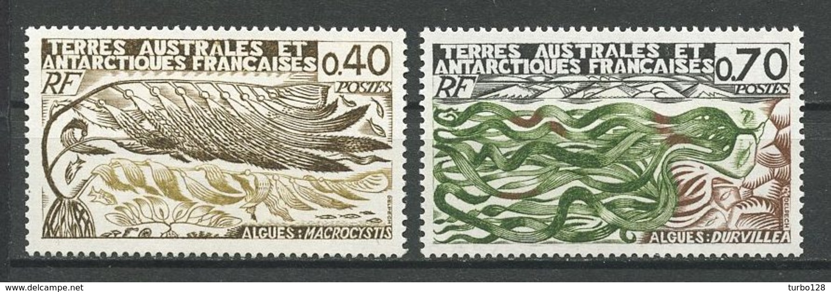 TAAF 1977 N° 68/69 ** Neufs MNH Superbes C 4.10 € Flore Flora Algues Macrocystis Durvillea - Neufs