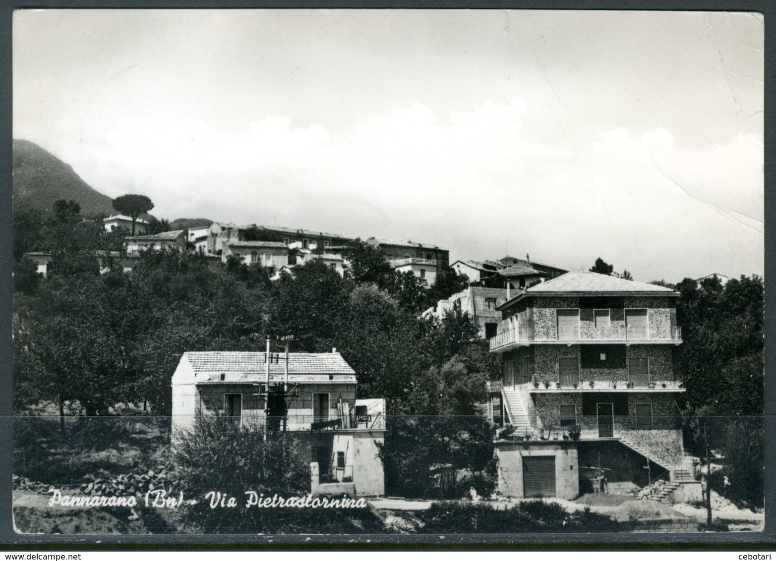 PANNARANO (BN) - Via Pietrastornina - Cartolina Viaggiata Anno 1969, Come Da Scansione. - Benevento