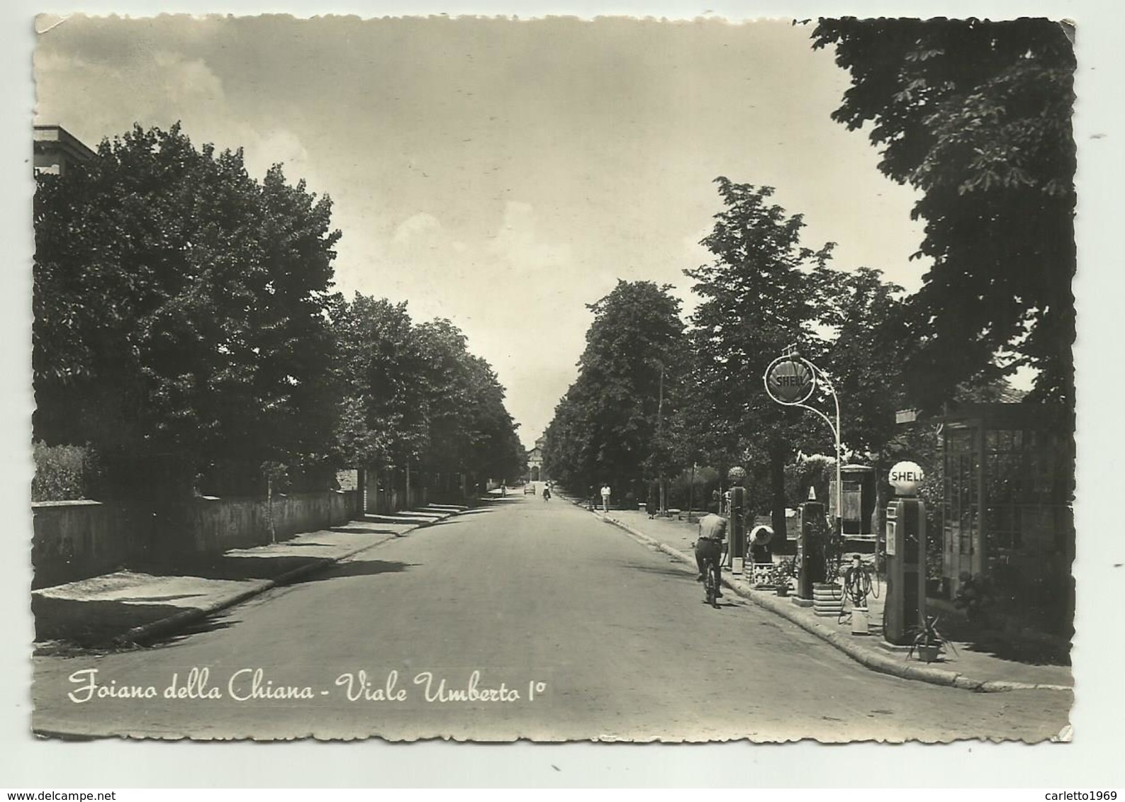 FOIANO DELLA CHIANA - VIALE UMBERTO I - VIAGGIATA FG - Arezzo