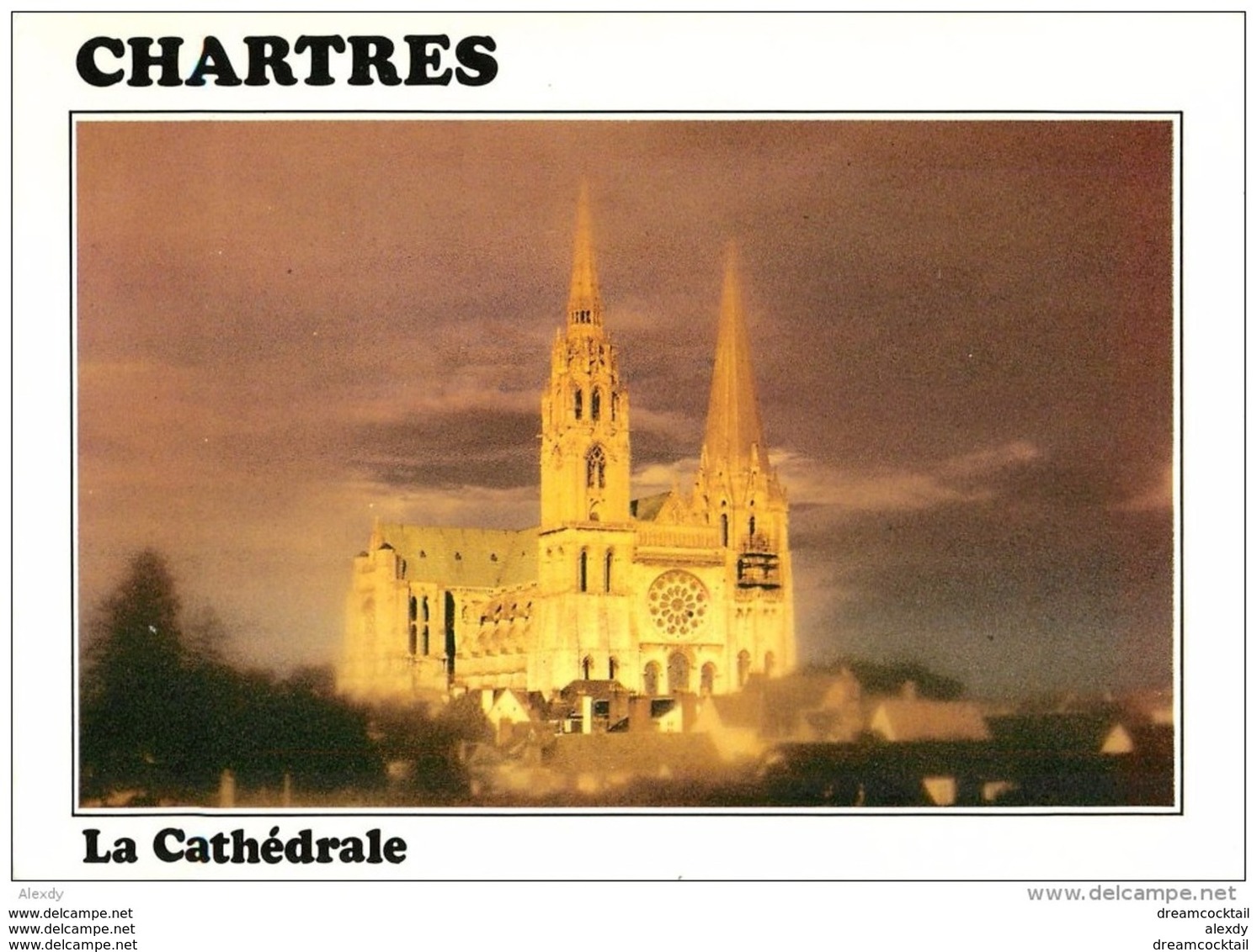 Photo Cpsm Cpm 28 CHARTRES. La Cathédrale Du XII Siècle 1989 - Chartres