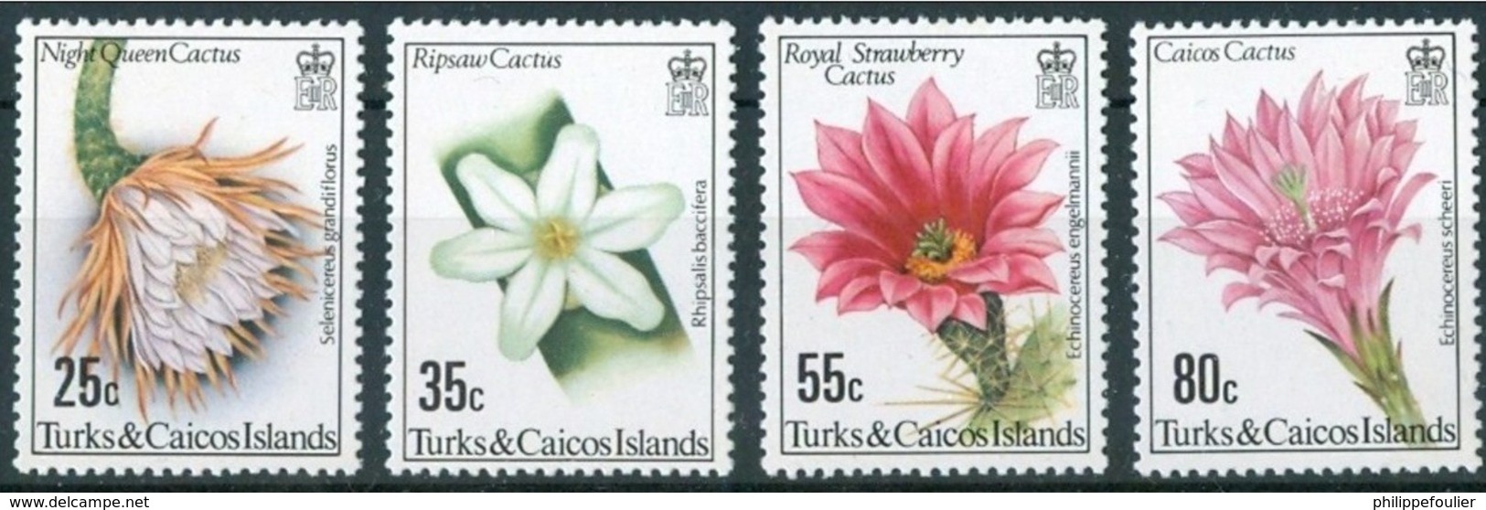 TURKS AND CAICOS Islands 1981   4 Values Cactus Fleurs Blumen Flowers Neuf **(MNH) , Mint ** - Turks And Caicos