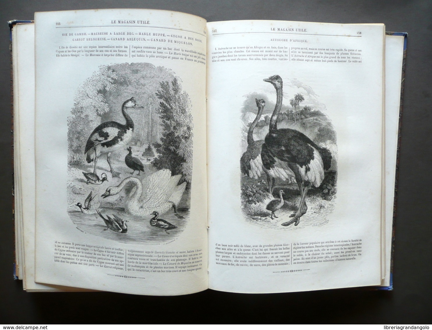 Le Magasin Utile Paris 1853 52 Numeri Annata Completa Illustrato Tavole