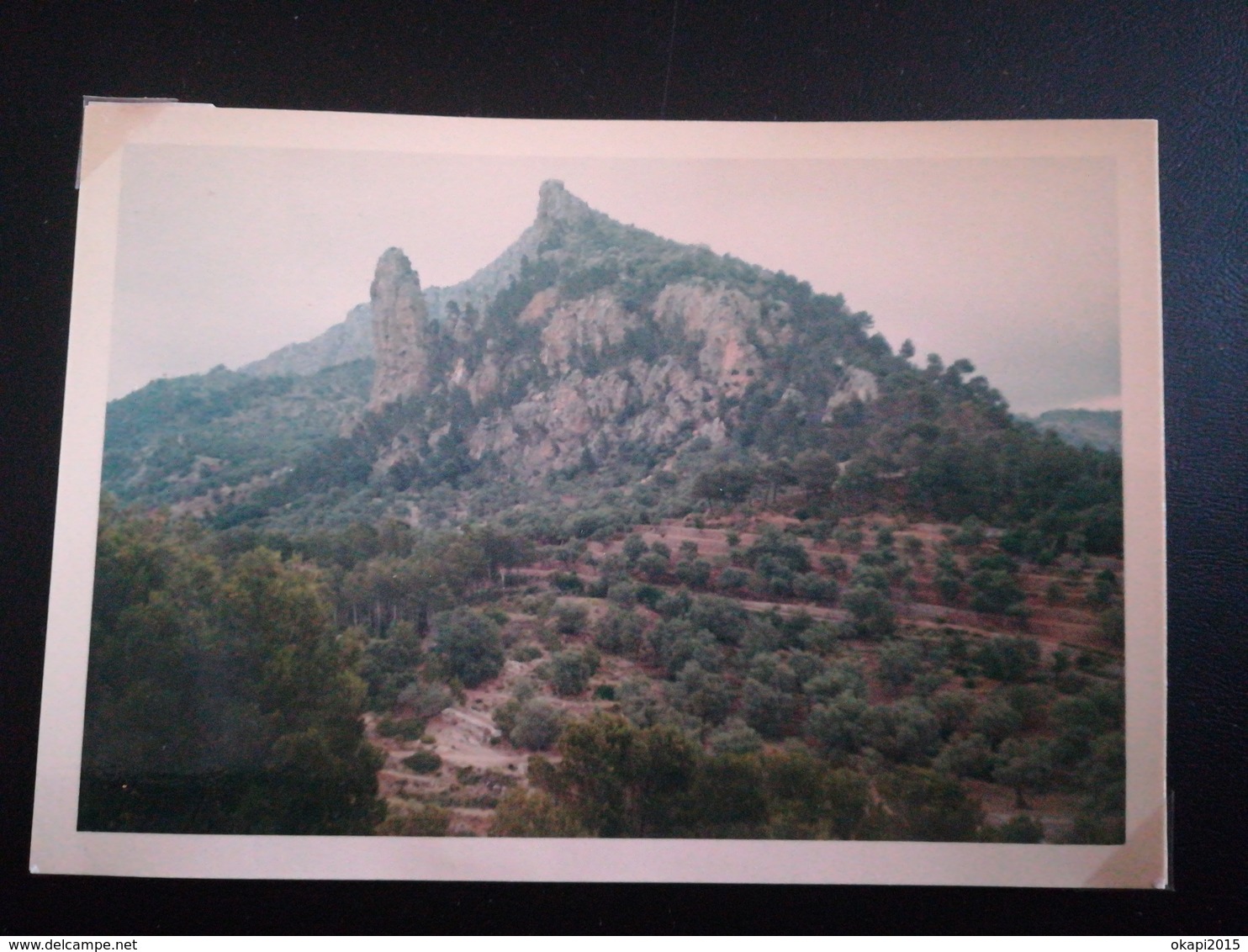 100 PHOTOS COULEURS RECTANGULAIRES À BORDS BLANCS DONT 90 PHOTOS DE VACANCES COUPLE PLAYA ARO IBIGSA (IBIZA?)