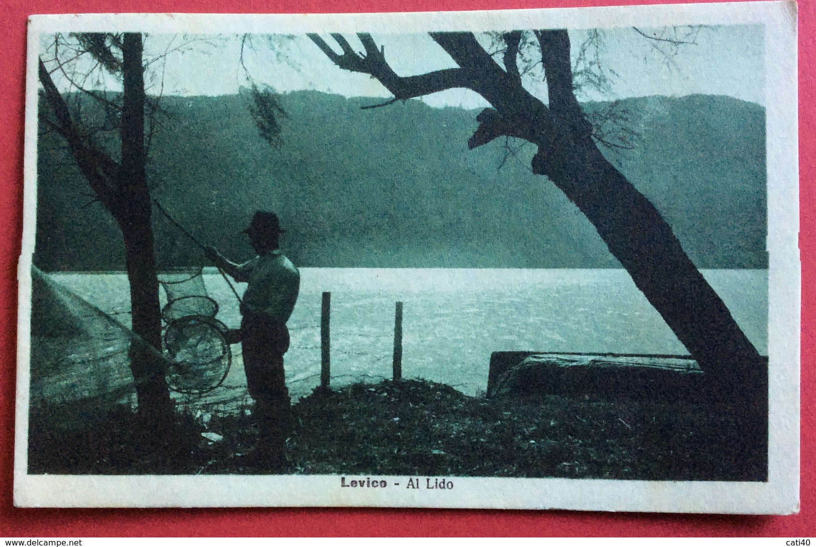 AMBULANTE  TRENTO - BASSANO * 2 *   6/7/22  SU CARTOLINA  LEVICO  AL LIDO - Marcophilia