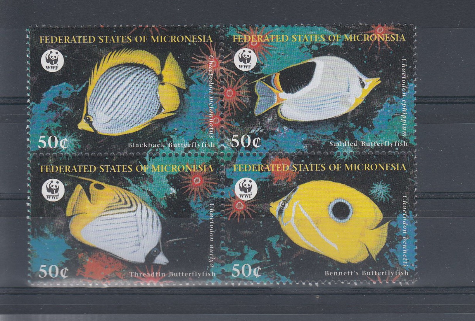 Micronesien Michel Cat.No. Mnh/** 583/586 Wwf Fish - Micronesië