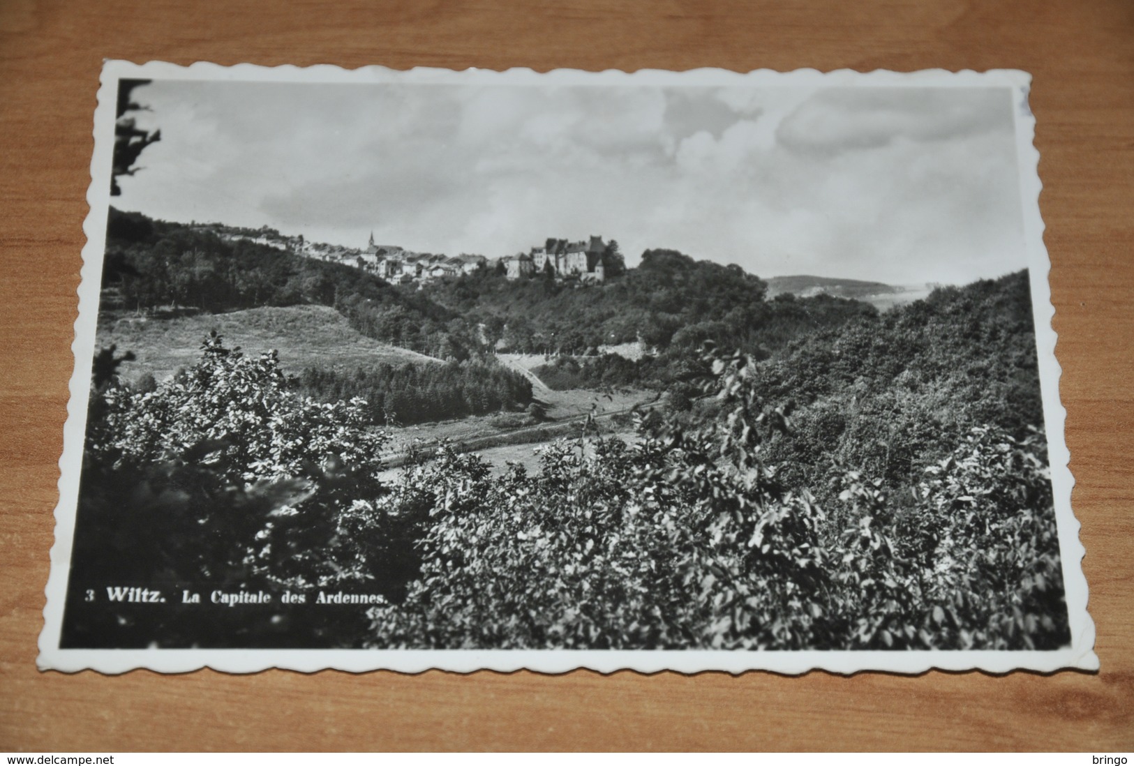 10976-    WILTZ, LA CAPITALE DES ARDENNES, GRAND-DUCHE DE LUXEMBOURG - Wiltz