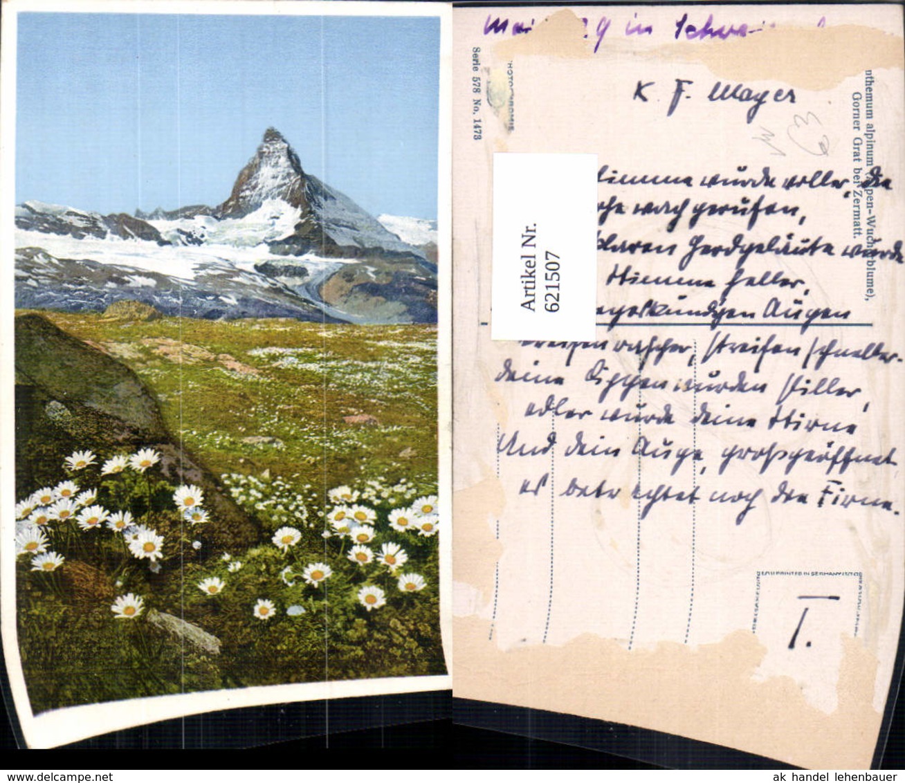 621507,Zermatt Matterhorn Blumen Alpen-Wucherblume I. Vordergrund Pub Photochromie 57 - Zermatt