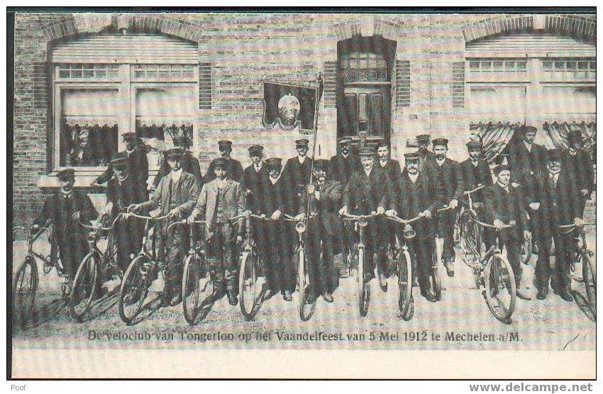 Tongerloo: Veloclub Op Het Vaandelfeest Te Maasmechelen 1912 - Bree