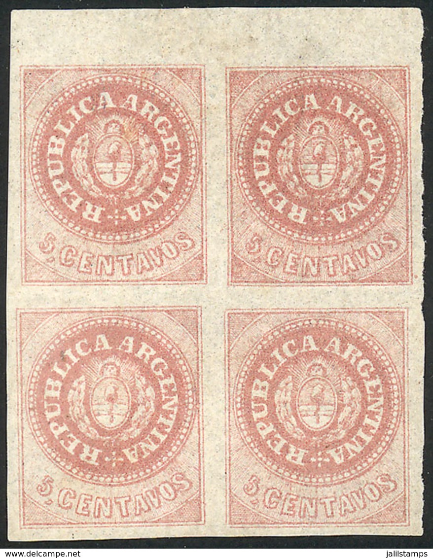 ARGENTINA: GJ.10, 5c. Without Accent, Mint Block Of 4 Of Excellent Quality! - Andere & Zonder Classificatie