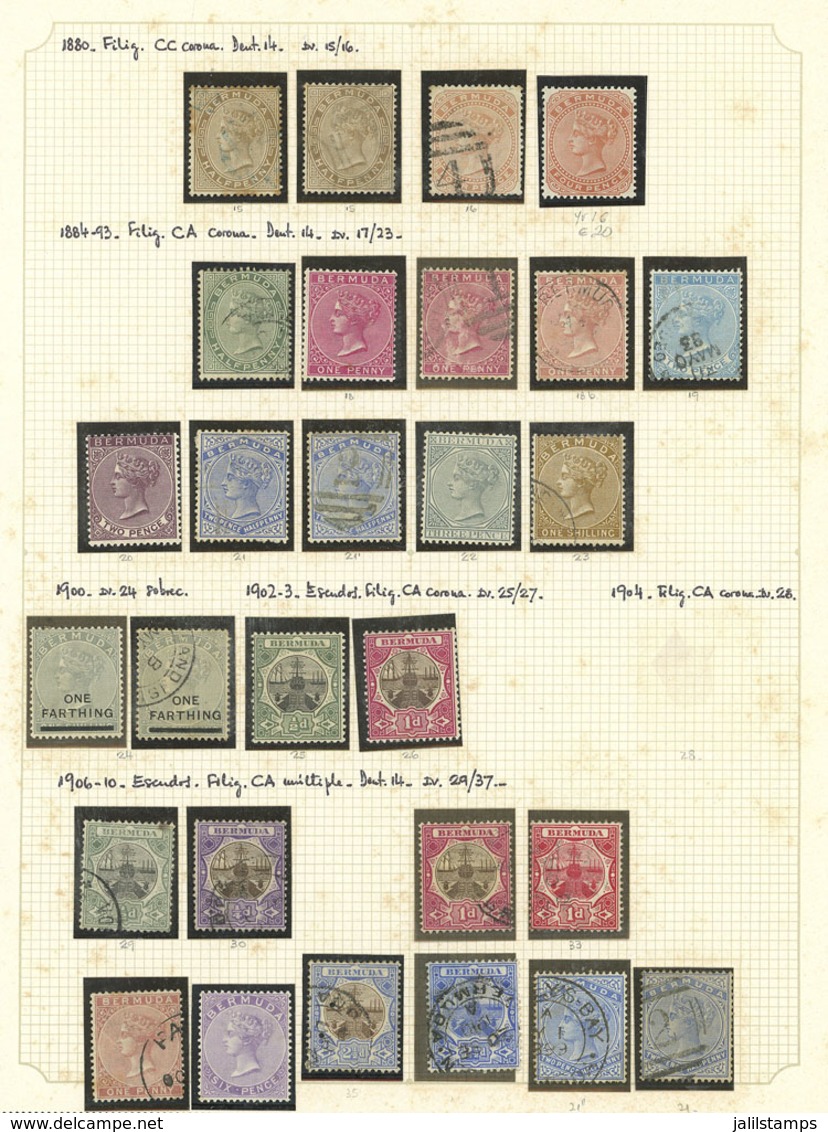 BERMUDA: Collection On Album Pages, With Used Or Mint Stamps (they Can Be Without Gum, Many MNH), Including Several Old  - Bermudas
