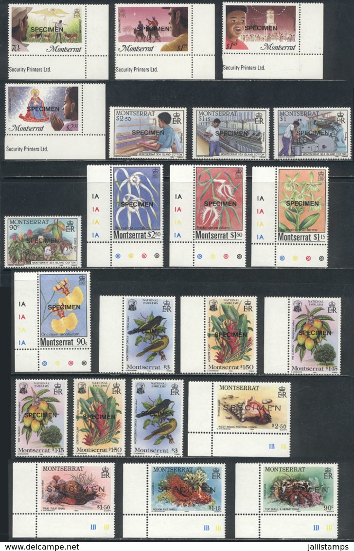 MONTSERRAT: Lot Of VERY THEMATIC Modern Sets, All With SPECIMEN Overprint, Excellent Quality, Low Start! - Montserrat