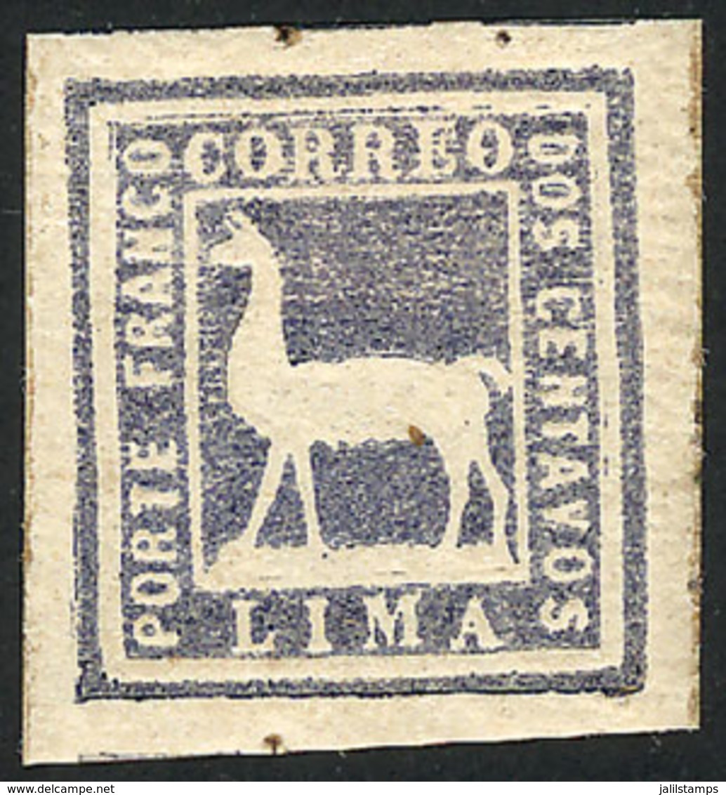 PERU: Sc.20, 1873 Llama 2c. Mint Original Gum, VF Quality! - Perú