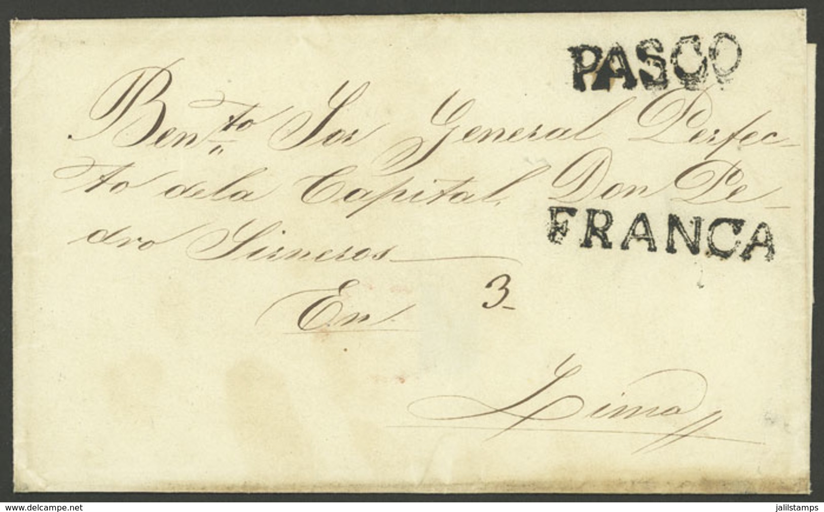 PERU: Folded Cover Sent To Lima, With "3" Rating And The Marks "PASCO" And "FRANCA" Perfectly Applied, Very Fine Quality - Peru
