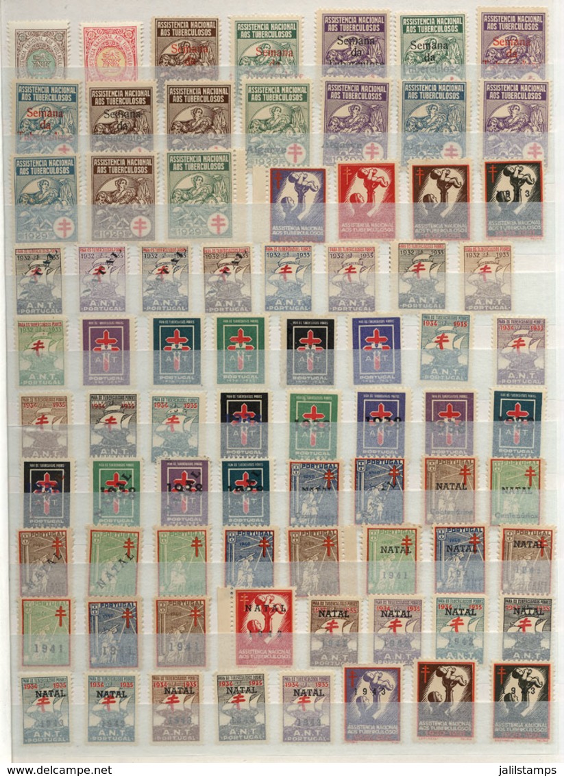 PORTUGAL: Fight Against Tuberculosis: Very Nice Collection, Most MNH And Of Very Fine Quality, Good Opportunity! - Sonstige & Ohne Zuordnung