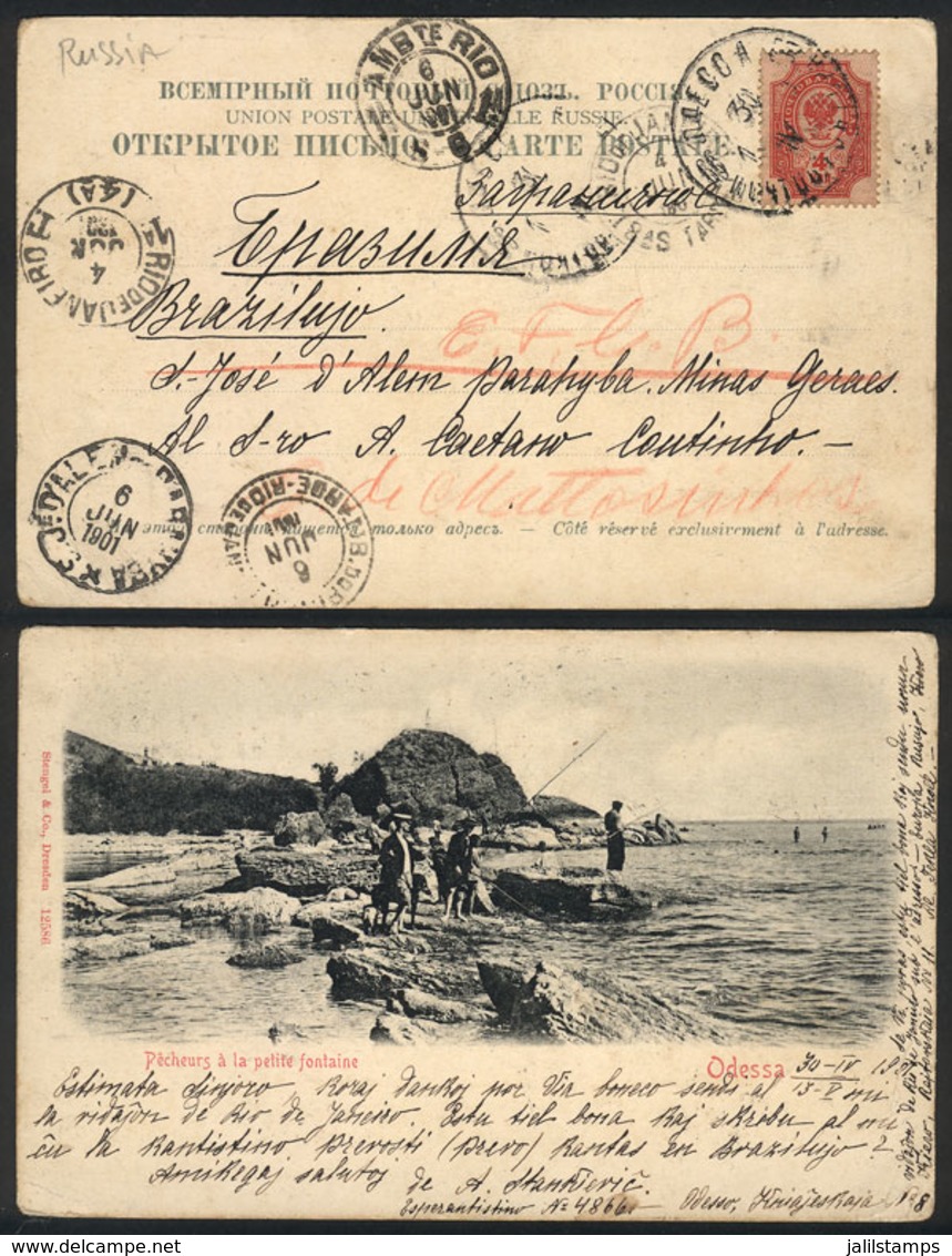 RUSSIA: Postcard With View Of "Odessa Fishermen" Sent To Brazil On 30/AP/1901, Written In ESPERANTO, Good Cancels, Very  - Sonstige & Ohne Zuordnung