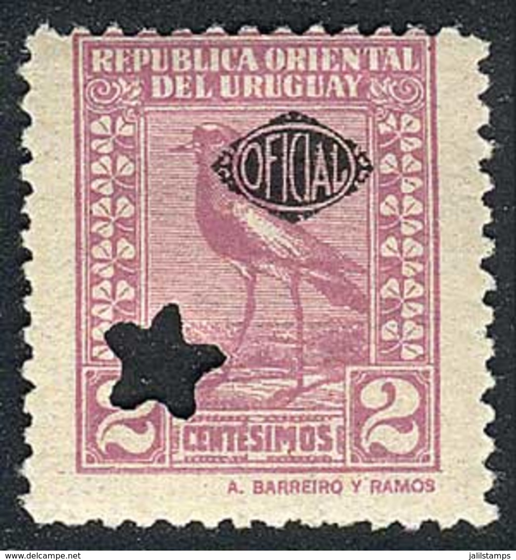 URUGUAY: 1928, Southern Lapwing 2c. Lilac, MINT ORIGINAL GUM And Punched (star), VF Quality, Rare. NOTE: Usually Unused  - Uruguay