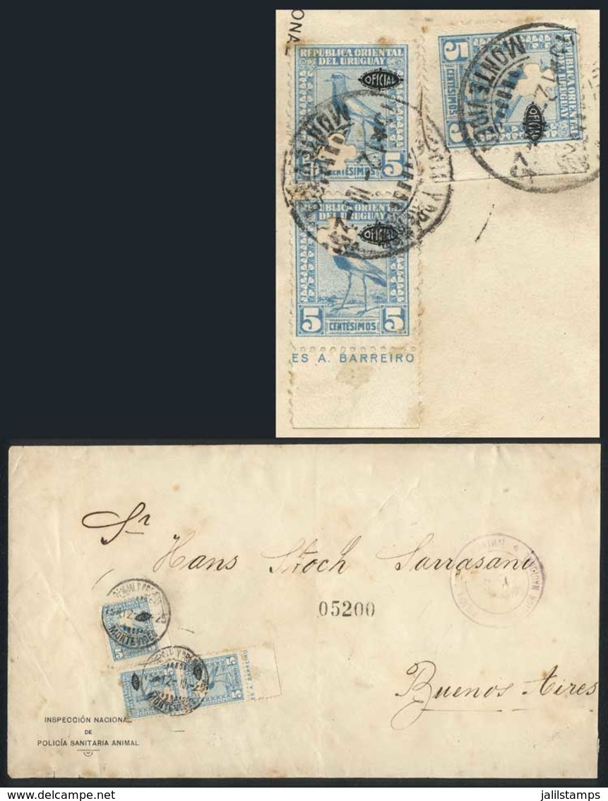 URUGUAY: Cover Sent To Buenos Aires On 12/MAR/1925, Franked By Sc.O133 X3 All With A Clover Punch Hole, Fine Quality, Ra - Uruguay